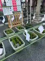 亀戸浅間神社(東京都)