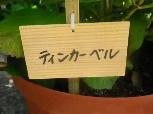 長谷寺のその他建物