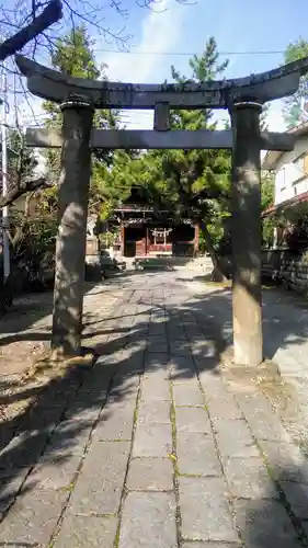 御崎神社の鳥居