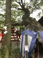 生島足島神社の自然