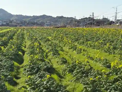 白山神社の{uncategorized: "未分類", other: "その他", undefined: "問題あり", building: "その他建物", grave: "お墓", sacred_gate: "鳥居", guardian: "狛犬", statue: "像", buddha: "仏像", history: "歴史", nature: "自然", garden: "庭園", animal: "動物", pagoda: "塔", temizu: "手水舎", mountain_gate: "山門・神門", sanctuary: "本殿・本堂", subordinate: "末社・摂社", art: "芸術", scenery: "景色", jizo: "地蔵", ema: "絵馬", goshuin: "御朱印", omikuji: "おみくじ", items: "授与品その他", amulet: "お守り", goshuincho: "御朱印帳", eats: "食事", festival: "お祭り", votive_dance: "神楽", shichigosan: "七五三参", wedding: "結婚式", experience: "体験その他", initially: "初詣", around: "周辺", anti_infection: "感染症対策"}