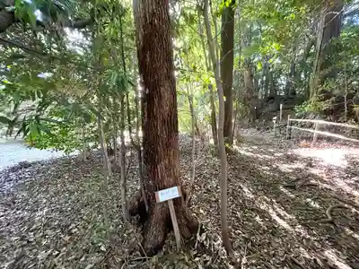 白髭神社(三重県)