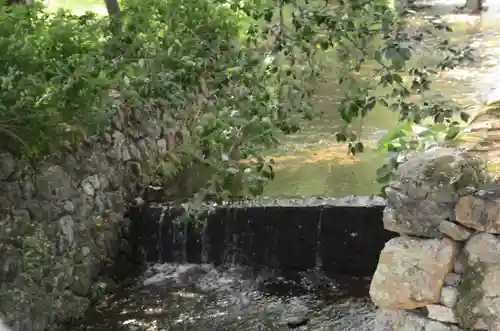 大覚寺(京都府)