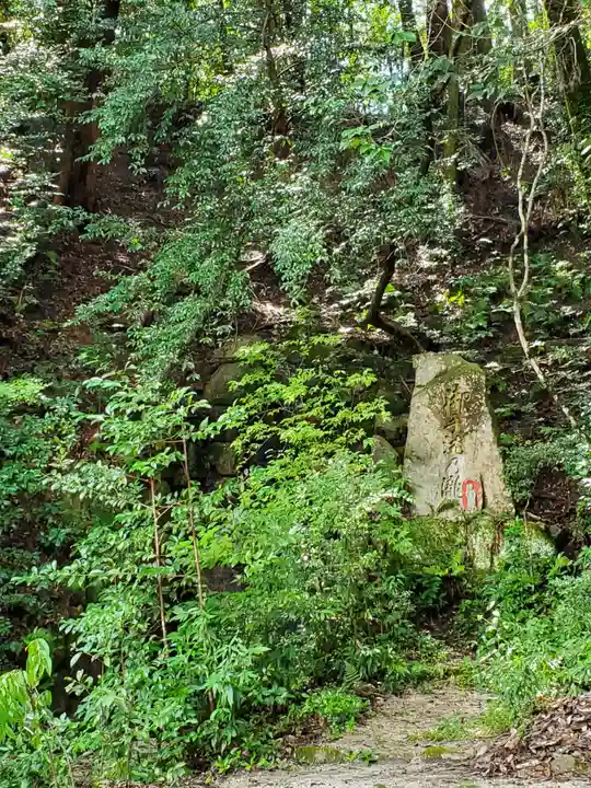 猿投神社の自然