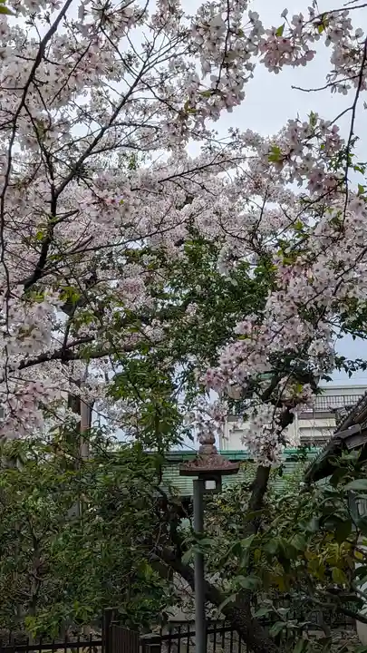 菅大臣神社(京都府)