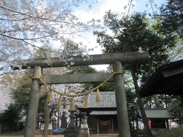 仙波氷川神社(埼玉県)
