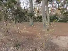 菅原院天満宮神社の自然