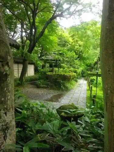 瑞泉寺の庭園