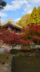 知恩院(京都府)