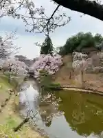 眞田神社の{uncategorized: "未分類", other: "その他", undefined: "問題あり", building: "その他建物", grave: "お墓", sacred_gate: "鳥居", guardian: "狛犬", statue: "像", buddha: "仏像", history: "歴史", nature: "自然", garden: "庭園", animal: "動物", pagoda: "塔", temizu: "手水舎", mountain_gate: "山門・神門", sanctuary: "本殿・本堂", subordinate: "末社・摂社", art: "芸術", scenery: "景色", jizo: "地蔵", ema: "絵馬", goshuin: "御朱印", omikuji: "おみくじ", items: "授与品その他", amulet: "お守り", goshuincho: "御朱印帳", eats: "食事", festival: "お祭り", votive_dance: "神楽", shichigosan: "七五三参", wedding: "結婚式", experience: "体験その他", initially: "初詣", around: "周辺", anti_infection: "感染症対策"}