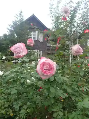 駒込妙義神社(東京都)