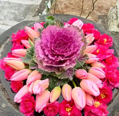 真言宗　善通寺派　薬王寺(香川県)