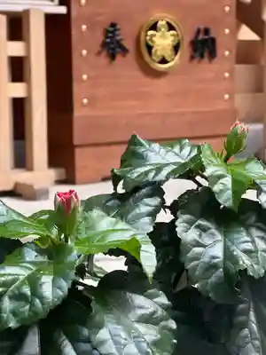 須山浅間神社(静岡県)