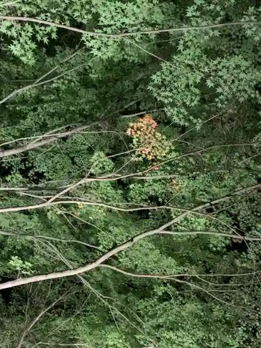 円通寺(栃木県)