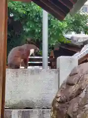 椿神明社の建物その他