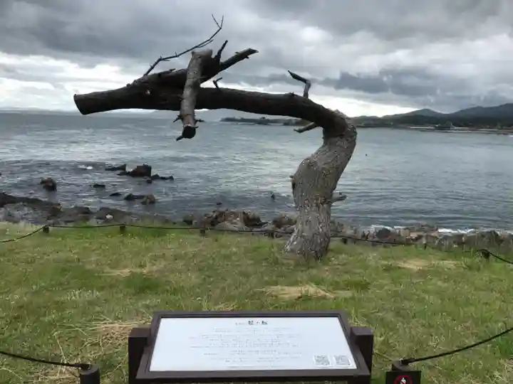 琴平神社の自然