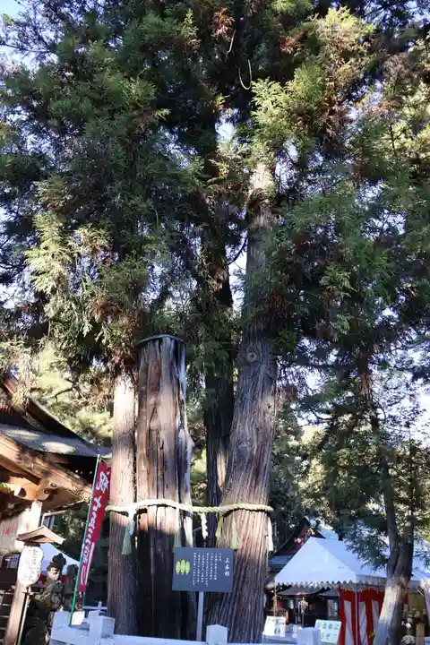 建部大社(滋賀県)