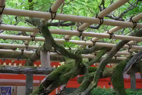 春日大社の庭園