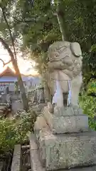 鴨神社(岡山県)