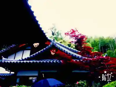 華厳寺(鈴虫寺)のその他建物