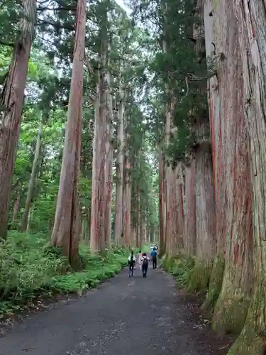 戸隠神社奥社(長野県)