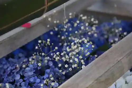 豊景神社の手水