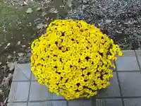 大宮温泉神社(栃木県)