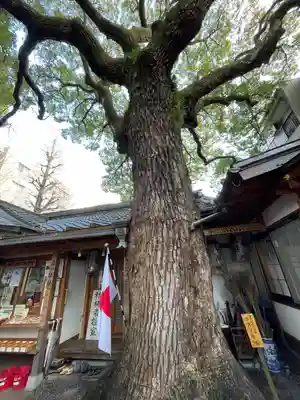 若一神社(京都府)