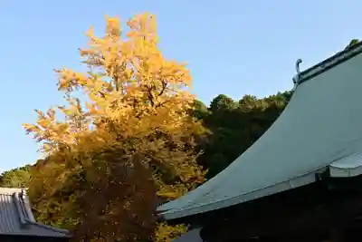 瑞応寺(愛媛県)