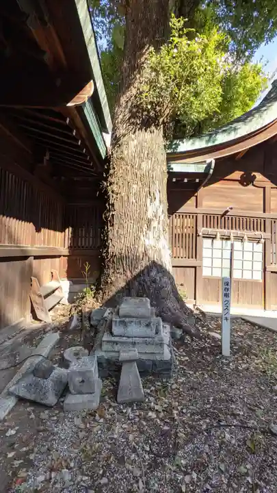 金山神社の自然