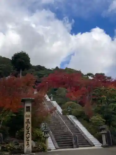 三室戸寺(京都府)