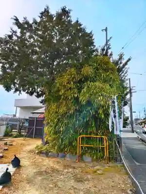 白清龍神の自然