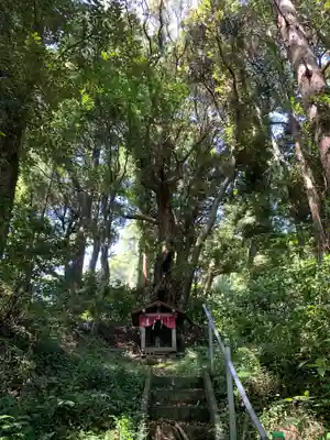 浅間神社(千葉県)