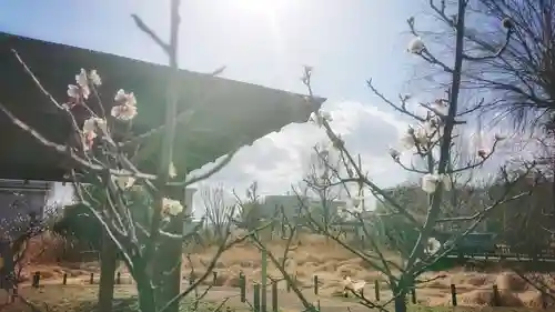 尾張大國霊神社（国府宮）の自然