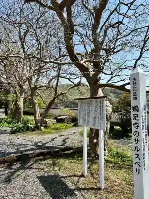 鶏足寺(栃木県)