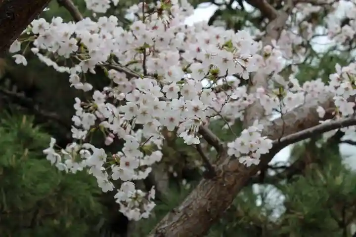 本能寺(京都府)