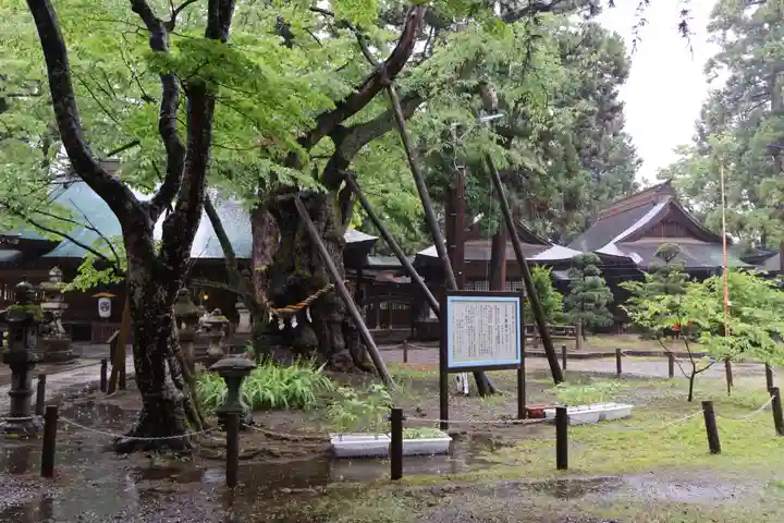 蠶養國神社(福島県)
