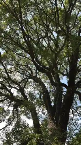 八幡奈多宮(大分県)