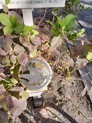 若宮八幡社(愛知県)