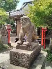 龍ケ崎八坂神社の狛犬