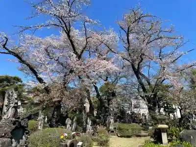 明治寺の{uncategorized: "未分類", other: "その他", undefined: "問題あり", building: "その他建物", grave: "お墓", sacred_gate: "鳥居", guardian: "狛犬", statue: "像", buddha: "仏像", history: "歴史", nature: "自然", garden: "庭園", animal: "動物", pagoda: "塔", temizu: "手水舎", mountain_gate: "山門・神門", sanctuary: "本殿・本堂", subordinate: "末社・摂社", art: "芸術", scenery: "景色", jizo: "地蔵", ema: "絵馬", goshuin: "御朱印", omikuji: "おみくじ", items: "授与品その他", amulet: "お守り", goshuincho: "御朱印帳", eats: "食事", festival: "お祭り", votive_dance: "神楽", shichigosan: "七五三参", wedding: "結婚式", experience: "体験その他", initially: "初詣", around: "周辺", anti_infection: "感染症対策"}