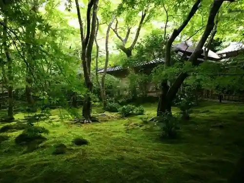 祇王寺の建物その他