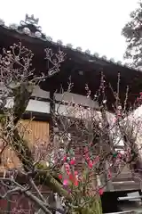 菅原天満宮（菅原神社）の建物その他