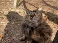 千光寺(広島県)