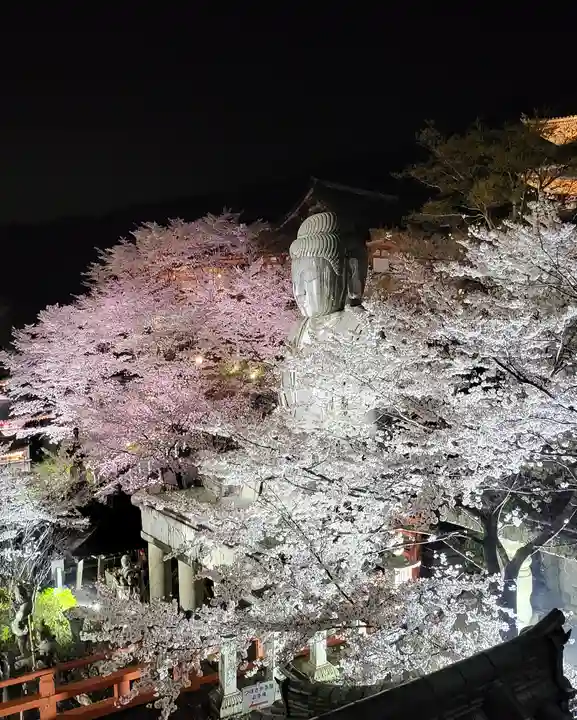南法華寺(壷阪寺)(奈良県)