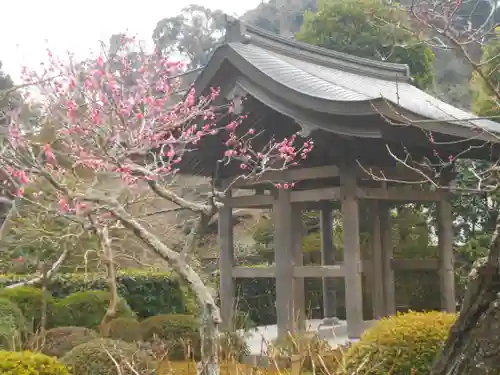 海蔵寺の山門