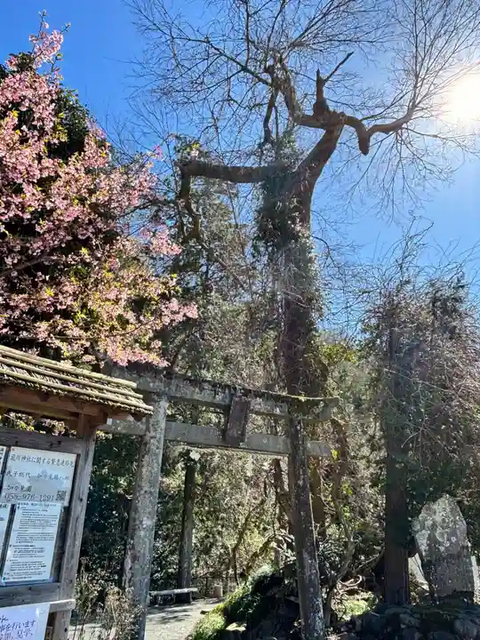 瀧川神社(静岡県)