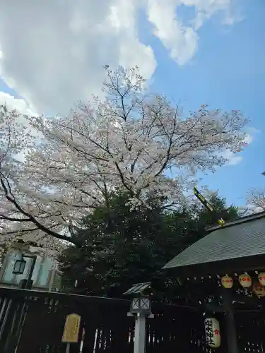 櫻木神社(千葉県)