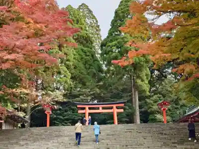 霧島神宮(鹿児島県)
