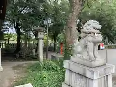 兵庫縣姫路護國神社の狛犬